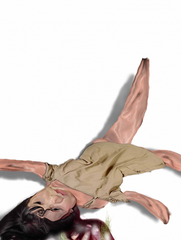Creation of Dude where's my owner ?: Step 12